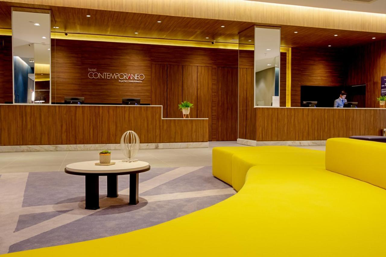 Contemporaneo - Royal Palm &